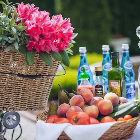 Hubertus & Restaurant & Horse Club ホリデーパーク Starogard Gdański