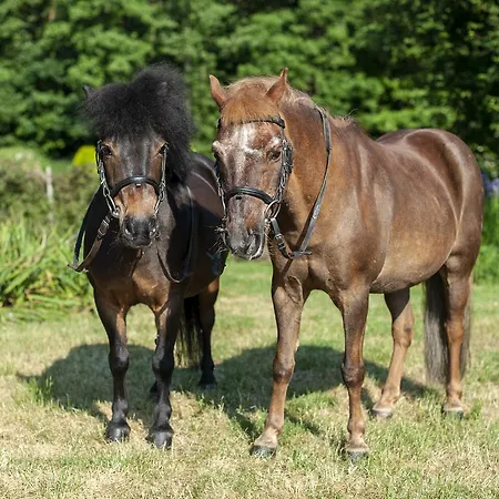 Hubertus & Restaurant & Horse Club 3*