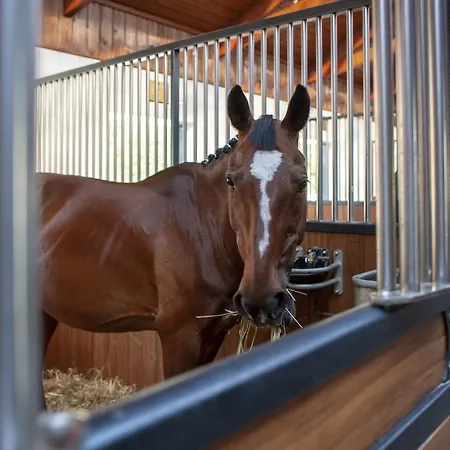 Semesterpark Hubertus & Restaurant & Horse Club 3*