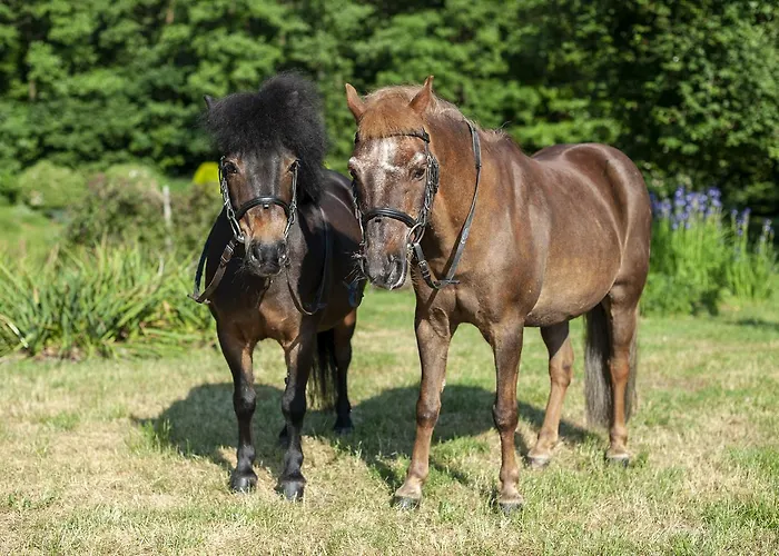 Hubertus & Restaurant & Horse Club 3*