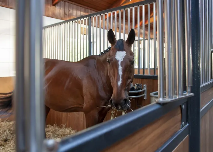 Holiday park Hubertus & Restaurant & Horse Club 3*